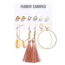 Load image into Gallery viewer, 2020 Women Earrings Set Acrylic Pearl Earrings For Women Acrylic Earrings New Set Bohemian Leopard Tassel Stud Earrings Jewelry