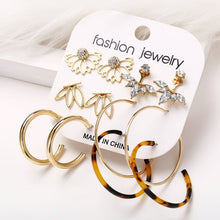 Load image into Gallery viewer, 2020 Women Earrings Set Acrylic Pearl Earrings For Women Acrylic Earrings New Set Bohemian Leopard Tassel Stud Earrings Jewelry