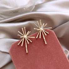 Load image into Gallery viewer, South Korea Earrings Temperament Earrings New It Girl Earrings Long Cold Wind Simple Autumn and Winter er shi pin
