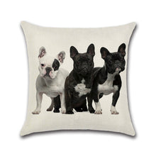 Load image into Gallery viewer, Pillow Cover Pillow Case Sofa