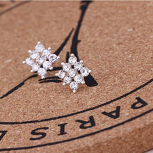 Load image into Gallery viewer, Women Exquisite Small Stud Earrings Crystal Simlated Pearl Earring For Women Fashion Jewelry pendientes Oorbellen Brincos
