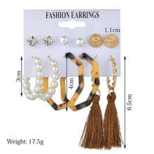 Load image into Gallery viewer, Exknl Women Earrings Set Acrylic Pearl Earrings For Women Bohemian Leopard Tassel Stud Earrings 2020 New Brincos Fashion Jewelry
