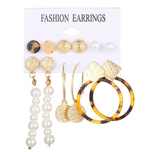 Load image into Gallery viewer, 2020 Women Earrings Set Acrylic Pearl Earrings For Women Acrylic Earrings New Set Bohemian Leopard Tassel Stud Earrings Jewelry
