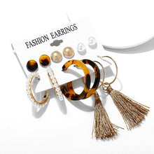 Load image into Gallery viewer, 2020 Women Earrings Set Acrylic Pearl Earrings For Women Acrylic Earrings New Set Bohemian Leopard Tassel Stud Earrings Jewelry

