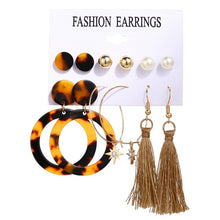 Load image into Gallery viewer, 2020 Women Earrings Set Acrylic Pearl Earrings For Women Acrylic Earrings New Set Bohemian Leopard Tassel Stud Earrings Jewelry
