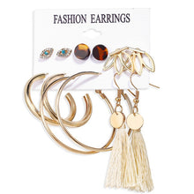 Load image into Gallery viewer, 2020 Women Earrings Set Acrylic Pearl Earrings For Women Acrylic Earrings New Set Bohemian Leopard Tassel Stud Earrings Jewelry
