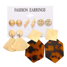 Load image into Gallery viewer, 2020 Women Earrings Set Acrylic Pearl Earrings For Women Acrylic Earrings New Set Bohemian Leopard Tassel Stud Earrings Jewelry
