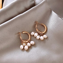 Load image into Gallery viewer, South Korea Earrings Temperament Earrings New It Girl Earrings Long Cold Wind Simple Autumn and Winter er shi pin
